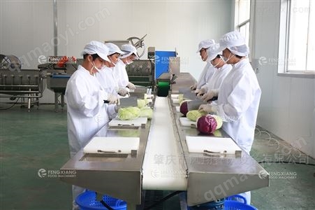 蔬果沙拉净菜生产线制造商