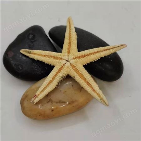 21035蓝澄环保厂家直供装饰鹅卵石-园林绿化用鹅卵石-染色鹅卵石