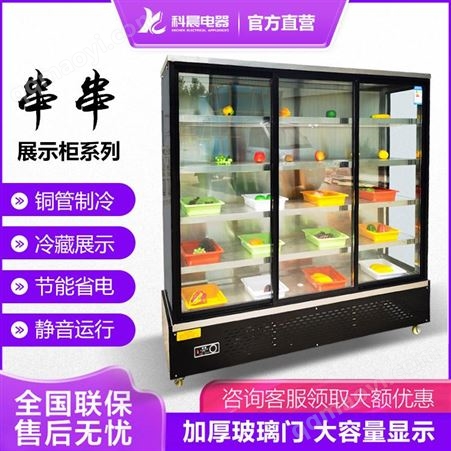 蔬菜冷藏保鲜柜直销 蔬菜冷藏保鲜柜定做 科晨