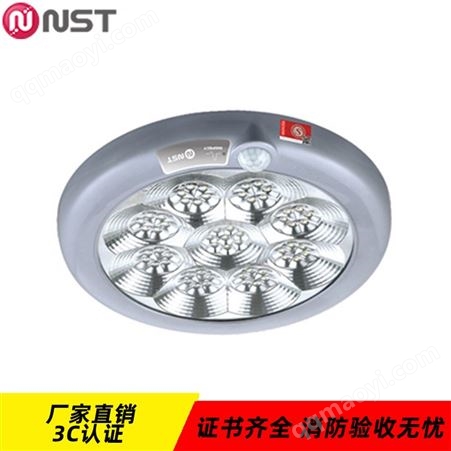 N-ZLZC-E4W8516π拿斯特nst自電集控智能系統200mm不帶感應DC36V防火塑料應急吸頂燈N-ZLZC-E4W8516