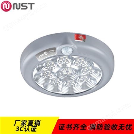 N-ZLZC-E4W8515拿斯特敏華電工智能照明自電集控200mm人體感應加聲控感應防火塑料吸頂燈N-ZLZC-E4W8515