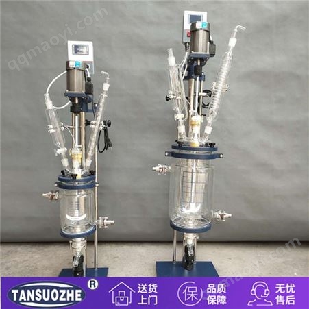 TSZSF-5L防腐耐酸玻璃反应器 小型双层玻璃反应器  双层玻璃反应釜 化工反应釜