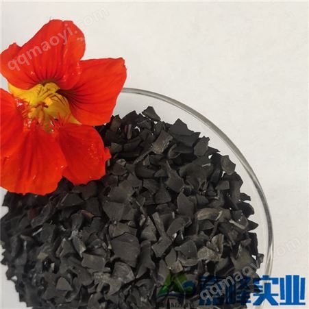 现货供应净水处理果壳活性炭 除氯除异味专用果壳活性炭 活性炭供应商