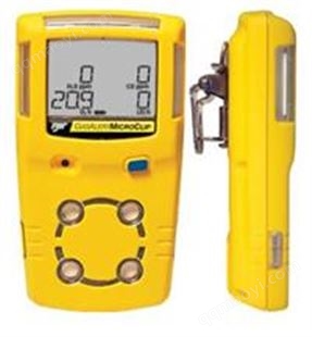 -加拿大BW GasAlertMicroClip气体检测仪