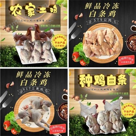 各类冷冻生鲜食材冻货老母鸡批发_山东有路食品_厂家货源量大价优