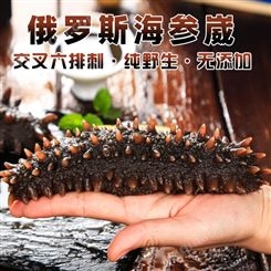 現貨 俄羅斯六排刺純野生純淡干海參 十成干 進口大紅刺參干貨