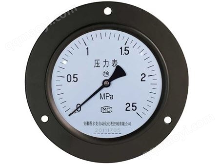 Y-40ZT轴向带边压力表