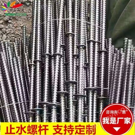 普斯利尔止水螺杆  *