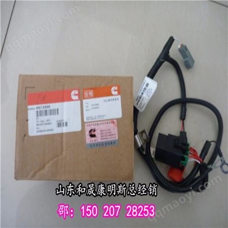 6LTAA8.9-G2宁夏发动机线束4096485矿山开工