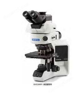 正立式BX53M