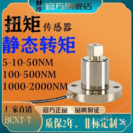 BCNT-T靜態(tài)扭矩傳感器  測扭力扳手傳感器