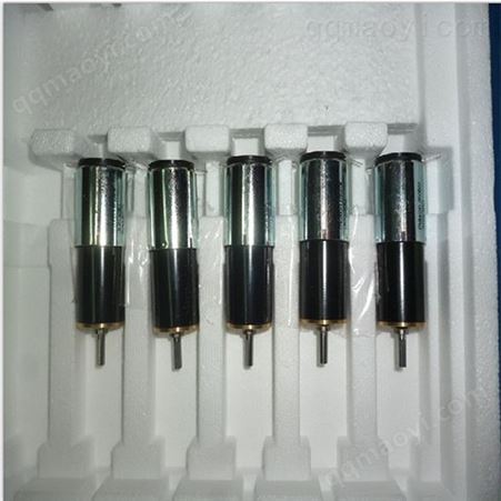Maxon motor