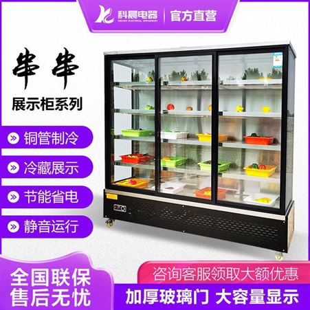 科晨蔬菜水果保鲜柜按需定制 科晨蔬菜水果保鲜柜直销 科晨